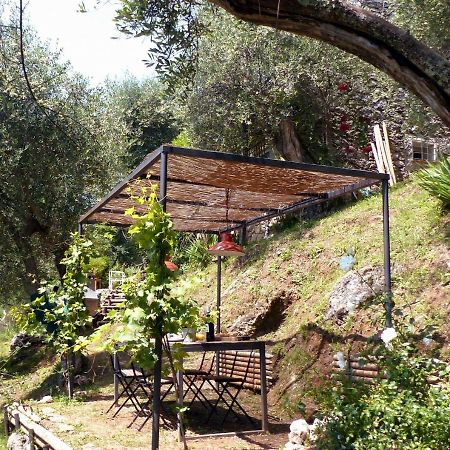 Willa Il Giaggiolo Camaiore Zewnętrze zdjęcie