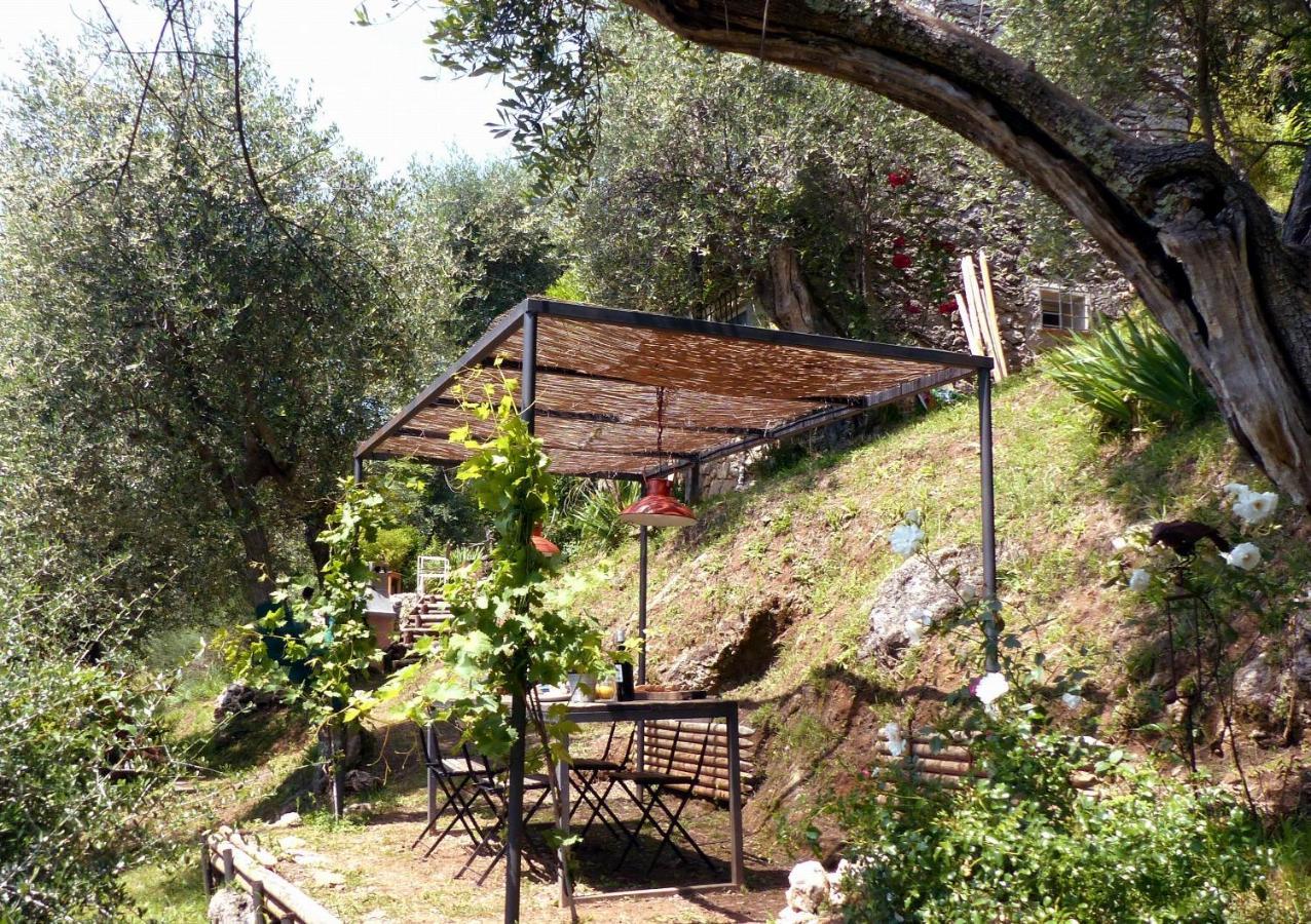 Willa Il Giaggiolo Camaiore Zewnętrze zdjęcie