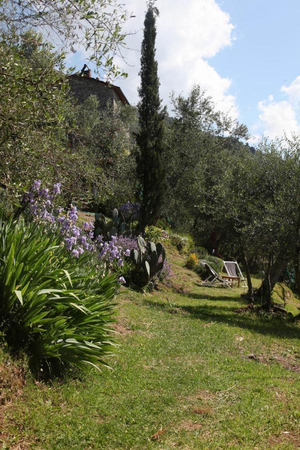 Willa Il Giaggiolo Camaiore Zewnętrze zdjęcie